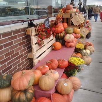 Trader Joe's - Love this seasonal touch of pumpkins and gourds in front. - Grocery Near Me - Kalamazoo, Michigan