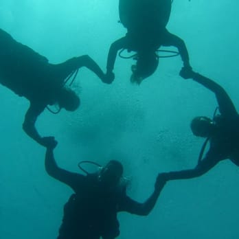 Oahu Diving - Just us four floating peacefully - Scuba Diving Near Me - Honolulu, Hawaii Oahu Diving - Just us four floating peacefully - Scuba Diving Near Me - Honolulu, Hawaii