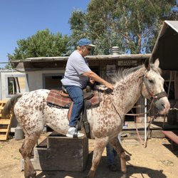 JB Ranch - Grandma having a great time!