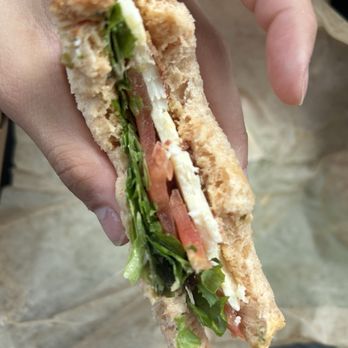 Panera Bread - Bacon Turkey Bravo - Salad Near Me - Village, Ohio Panera Bread - Bacon Turkey Bravo - Salad Near Me - Village, Ohio