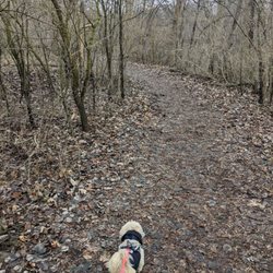 Bandemer Park