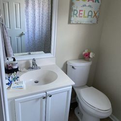 Smittys drain and sewer - Sink in toilet