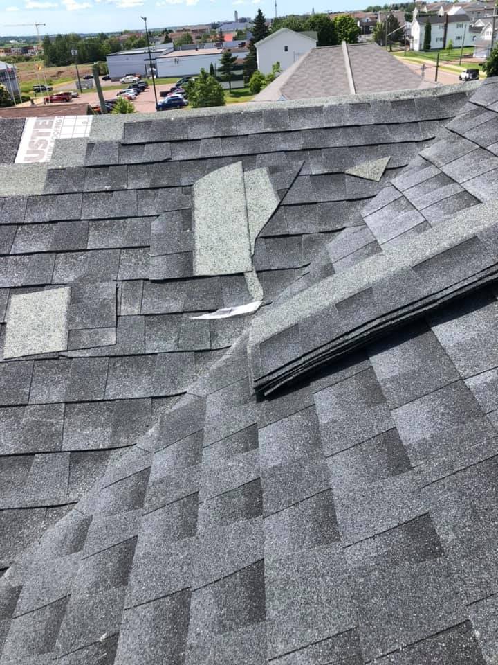 PRO ROOFING Updated October 2024 62 Photos 4B150 Edmonton Avenue