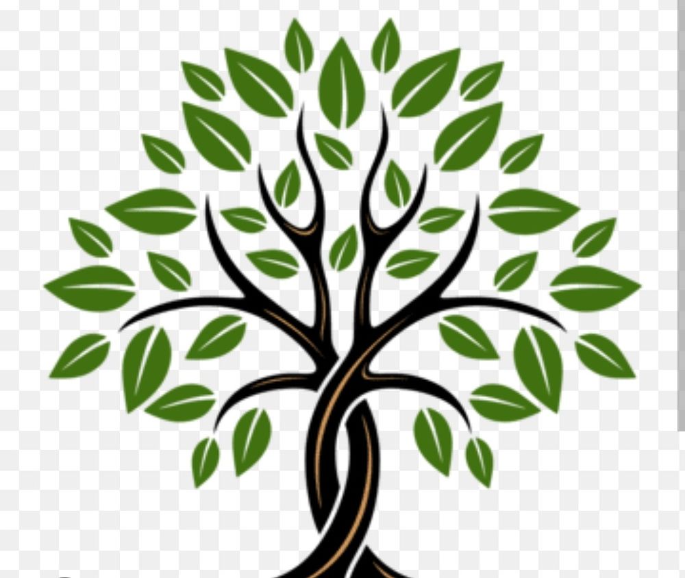 Ced's Tree Service - tree service in Jackson, MS