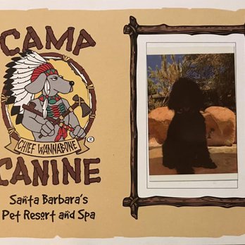 Camp Canine - Romi's report card! - Pet Groomers Near Me - Santa Barbara, California Camp Canine - Romi's report card! - Pet Groomers Near Me - Santa Barbara, California
