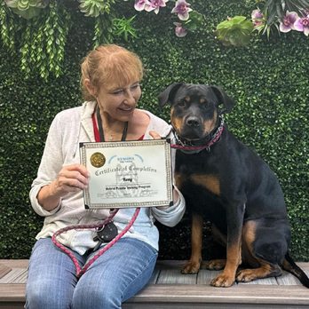K9 Mania Dog Training - Pet Training Near Me - Deer Park, New York K9 Mania Dog Training - Pet Training Near Me - Deer Park, New York