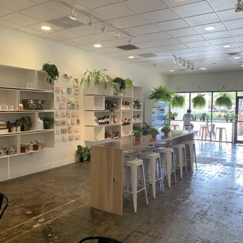 Craft & Common - Coffee & Tea Near Me - Orlando, Florida Craft & Common - Coffee & Tea Near Me - Orlando, Florida