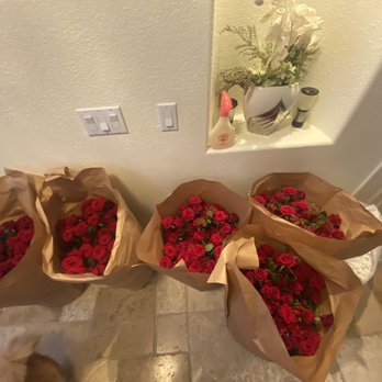 Eliseo Wholesale - Red roses - Florists Near Me - Los Angeles, California Eliseo Wholesale - Red roses - Florists Near Me - Los Angeles, California