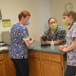 All Creatures Animal Hospital