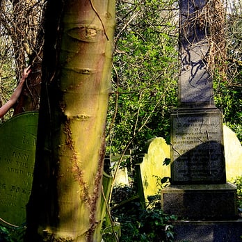 Abney Park Cemetery Trust - Community Service/Non-Profit Near Me - London, XGL