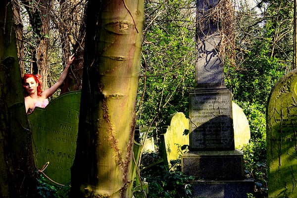 Abney Park Cemetery Trust by null