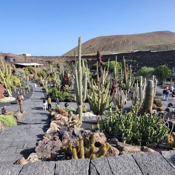 El Jardín de Cactus - Parks Near Me - Lanzarote, GC El Jardín de Cactus - Parks Near Me - Lanzarote, GC