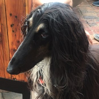 PRK 101 - Dog friendly - Beer Bar Near Me - Carlsbad, California PRK 101 - Dog friendly - Beer Bar Near Me - Carlsbad, California