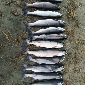 Alaska West Air - Fishing Near Me - Nikiski, Alaska Alaska West Air - Fishing Near Me - Nikiski, Alaska