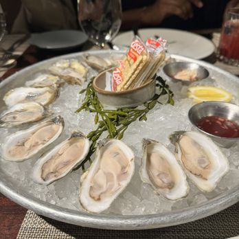 Bludorn - Oysters - New American Near Me - Houston, Texas