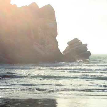 Morro Bay State Park - Parks Near Me - Morro Bay, California Morro Bay State Park - Parks Near Me - Morro Bay, California