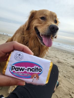 La Pawnaderia by null