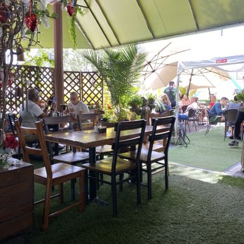 Bulegreen Cafe Yard - Patio - Cafes Near Me - Oakland Park, Florida Bulegreen Cafe Yard - Patio - Cafes Near Me - Oakland Park, Florida
