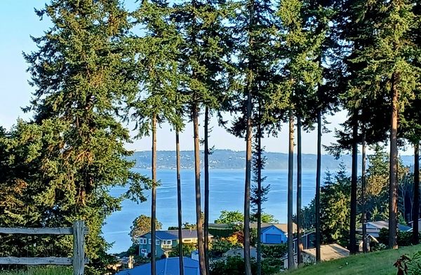 Comforts of Whidbey Winery and B&B by null