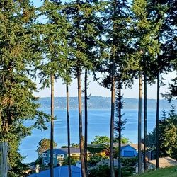 Comforts of Whidbey - View from the winery / B&B