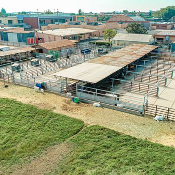 Orange High School - Orange High's AMAZING outdoor agricultural and farm facility!!  WOW! What an amazing program!! - Middle Schools & High Schools Near Me - Orange, California