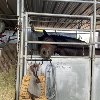 McKee Ranch - Cutie. - Ranches Near Me - Las Vegas, Nevada