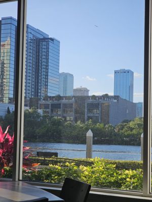 Watervue Grille- Downtown Tampa- Harbour Island by null