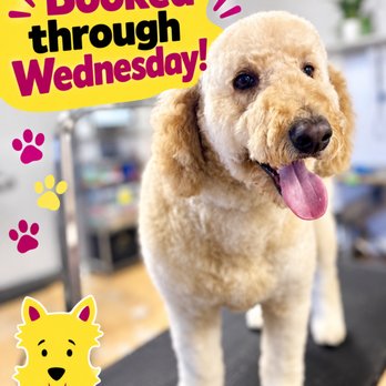 Purrfect Fur Pets - Pet Groomers Near Me - Plainfield, Illinois Purrfect Fur Pets - Pet Groomers Near Me - Plainfield, Illinois