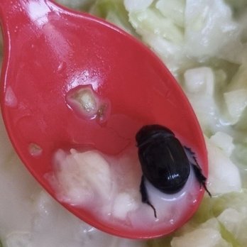 Cook Out - A bug and a bread tie in the coleslaw!!! Nasty!! - Fast Food Near Me - Summerville, South Carolina
