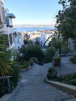 Vallejo Steps by null