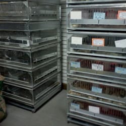 McDonnell Hardware & Feed - Live chicks
