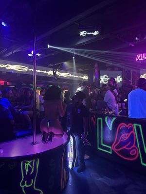 Booby Trap On The River by null