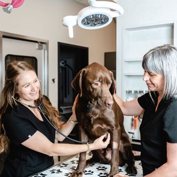 GoodVets - Highlands - Veterinarians Near Me - Denver, Colorado GoodVets - Highlands - Veterinarians Near Me - Denver, Colorado