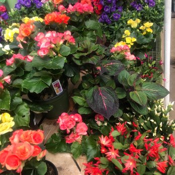 City Floral - Nurseries & Gardening Near Me - Denver, Colorado City Floral - Nurseries & Gardening Near Me - Denver, Colorado