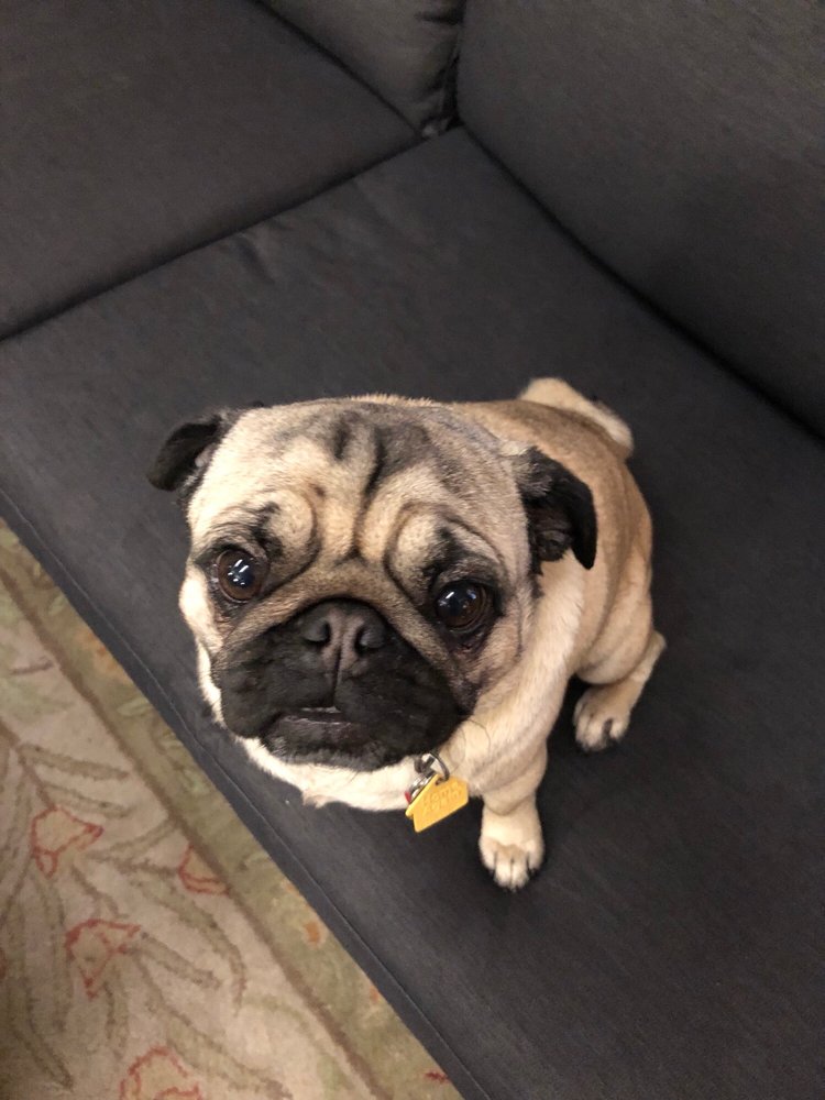 Oakland DBT and Mindfulness Center - grief counselor in Oakland, CA