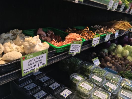 New Orleans Food Cooperative by null