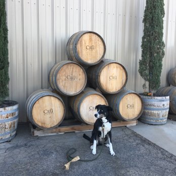 Cru Veterinary Services - Cru at Crū winery in Madera California - Pet Services Near Me
