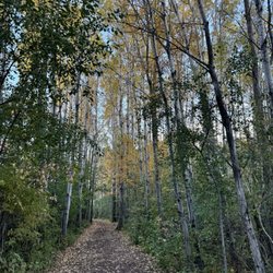 Lions Den Gorge Nature Preserve
