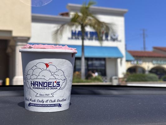 Handel's Homemade Ice Cream & Yogurt by null