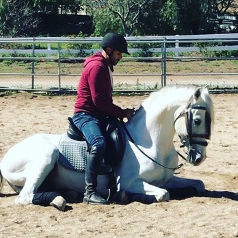 Breezy Meadow Stables - Buda!! - Horseback Riding Near Me - Chatsworth, California Breezy Meadow Stables - Buda!! - Horseback Riding Near Me - Chatsworth, California