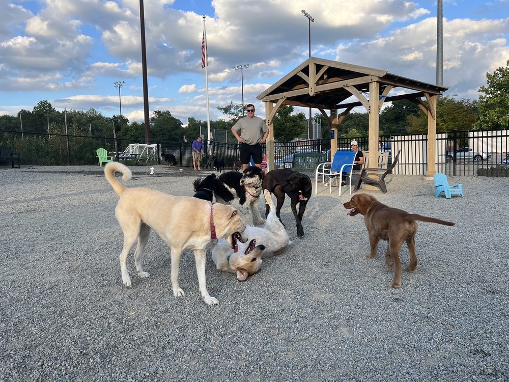 GLEN ROCK NJ DOG PARK Updated September 2024 390 Doremus Ave, Glen