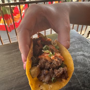 Wild Taco - Govs Park - Bulgogi taco - Tacos Near Me - Denver, Colorado Wild Taco - Govs Park - Bulgogi taco - Tacos Near Me - Denver, Colorado