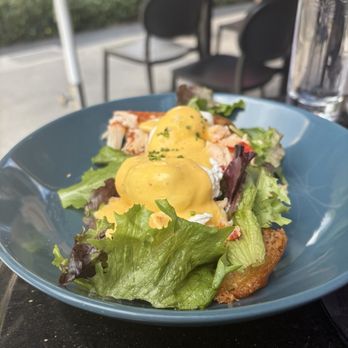 Bouzy - BROWN BUTTER LOBSTER BENEDICT - Wine Bars Near Me - Tampa, Florida