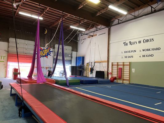 School of Acrobatics and New Circus Arts