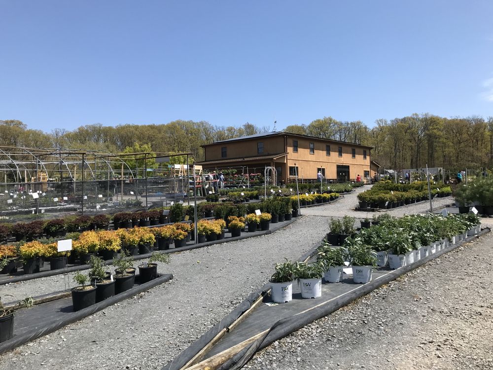 SUN NURSERIES 22 Photos & 39 Reviews 14790 Bushy Park Rd, Woodbine