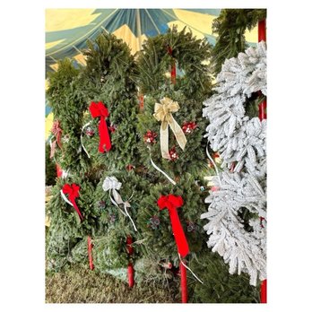Tree Towne Christmas Trees - Christmas Trees Near Me - Lantana, Florida Tree Towne Christmas Trees - Christmas Trees Near Me - Lantana, Florida