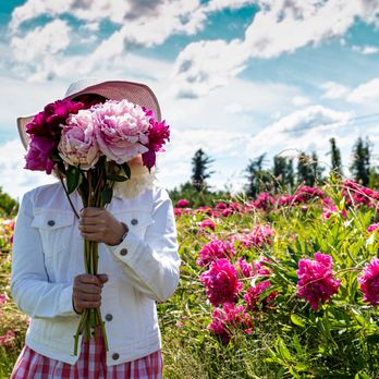 Oksana Kovalchuk Photography - Session Photography Near Me Oksana Kovalchuk Photography - Session Photography Near Me