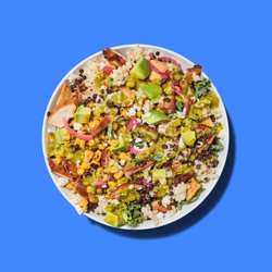 Just Salad