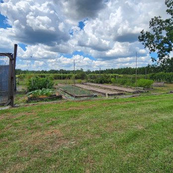 Hillcrest Farm - crops - Attraction Farms Near Me - Elberta, Alabama