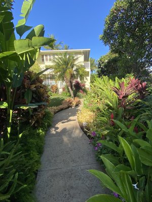 Pineapple Inn Maui by null